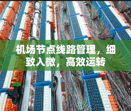 机场节点线路管理，细致入微，高效运转
