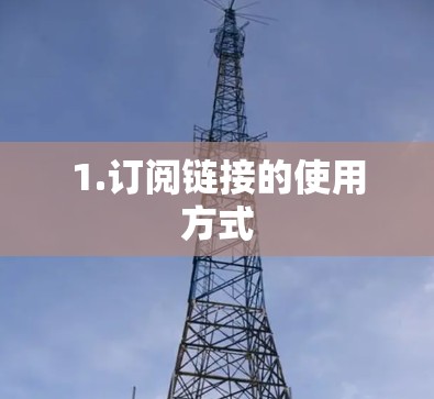 1.订阅链接的使用方式
