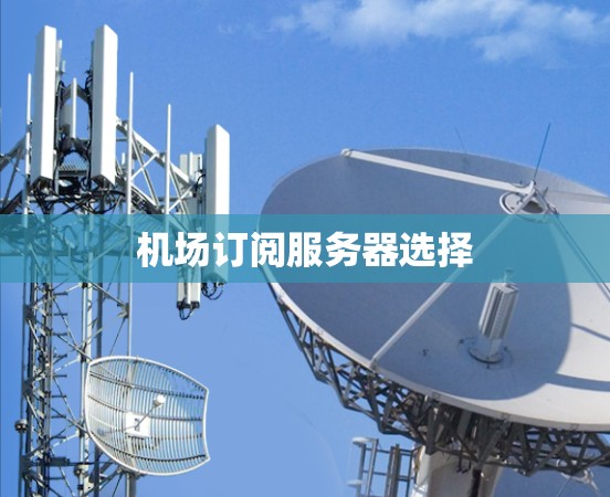 机场订阅服务器选择