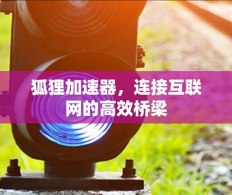 狐狸加速器，连接互联网的高效桥梁