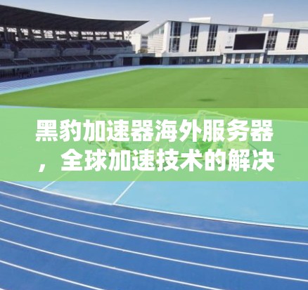 黑豹加速器海外服务器，全球加速技术的解决方案