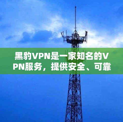 黑豹VPN是一家知名的VPN服务，提供安全、可靠的信息传输。以下是找到黑豹VPN最新下载入口的步骤和建议