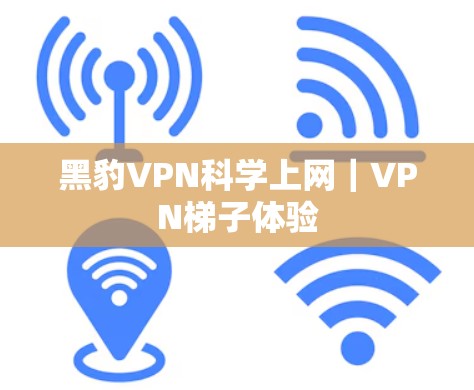 黑豹VPN科学上网｜VPN梯子体验