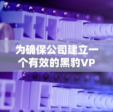 为确保公司建立一个有效的黑豹VPN机场节点，以下是一个详细的步骤指南，涵盖所有必要信息