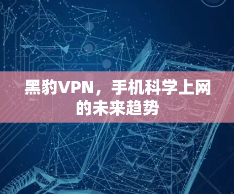 黑豹VPN，手机科学上网的未来趋势