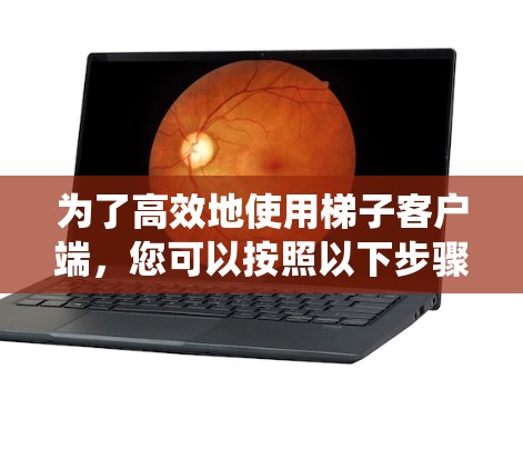 为了高效地使用梯子客户端，您可以按照以下步骤进行系统学习和开发