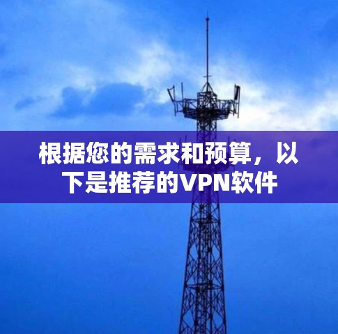 根据您的需求和预算，以下是推荐的VPN软件