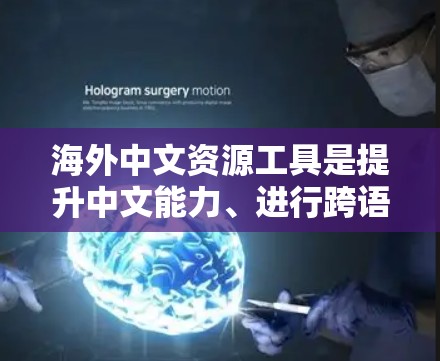 海外中文资源工具是提升中文能力、进行跨语言交流和学术研究的重要工具。以下是一些主要的工具及其作用和使用方法