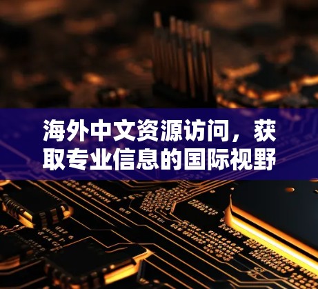 海外中文资源访问，获取专业信息的国际视野与合作经验分享