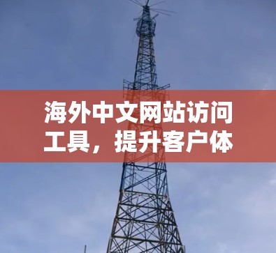 海外中文网站访问工具，提升客户体验的智能解决方案
