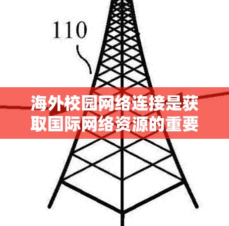海外校园网络连接是获取国际网络资源的重要途径之一，具体方式包括