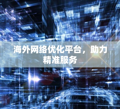 海外网络优化平台，助力精准服务