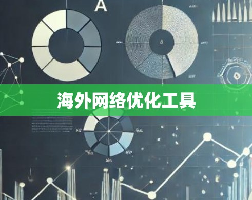 海外网络优化工具