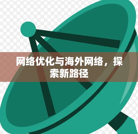 网络优化与海外网络，探索新路径