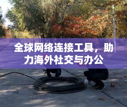 全球网络连接工具，助力海外社交与办公