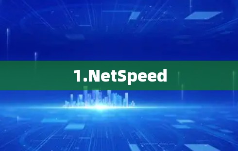 1.NetSpeed