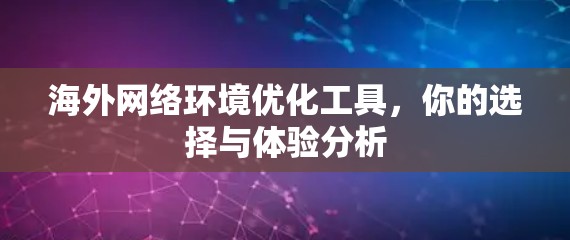 海外网络环境优化工具，你的选择与体验分析
