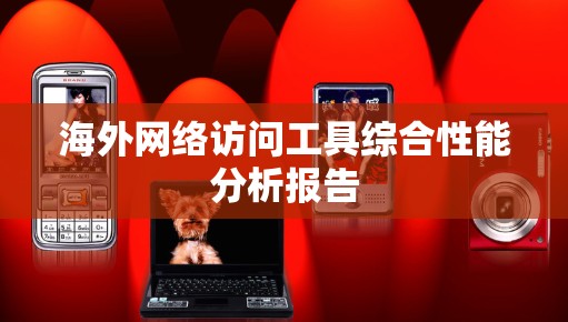 海外网络访问工具综合性能分析报告