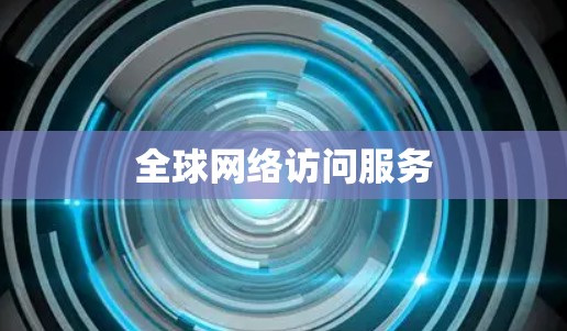 全球网络访问服务