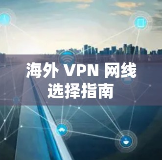海外 VPN 网线选择指南