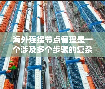 海外连接节点管理是一个涉及多个步骤的复杂过程，需要仔细规划和操作。以下是一步步的指南，帮助你管理这些节点
