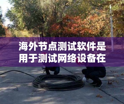 海外节点测试软件是用于测试网络设备在国际网络环境下的性能和稳定性工具。以下是对这些软件的详细介绍，帮助您选择适合的工具