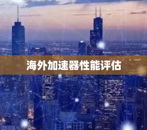 海外加速器性能评估