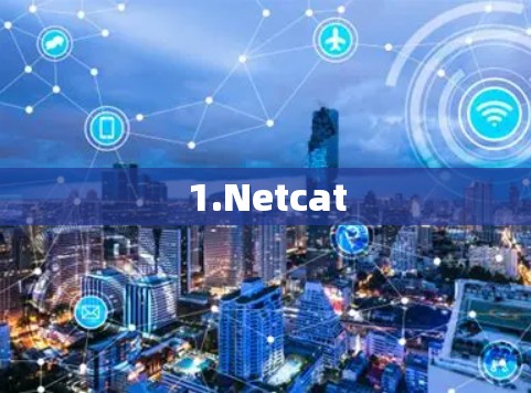 1.Netcat