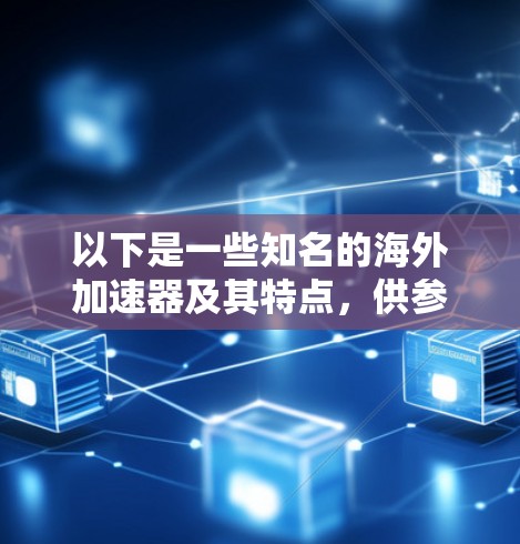 以下是一些知名的海外加速器及其特点，供参考