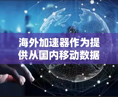 海外加速器作为提供从国内移动数据流量到国外网络的加速工具，其功能多变，涵盖了流量打车、数据转化、数据连接等多种选项，每个功能都有其独特的优势和潜在的挑战。以下是对海外加速器功能的详细分析