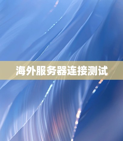 海外服务器连接测试
