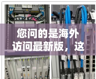 您问的是海外访问最新版，这可能是指与某个公司或机构在海外进行的活动的最新成果、数据或报告。以下是一些可能的解释和内容