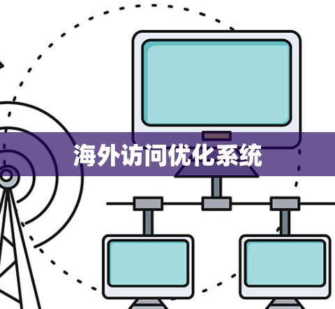 海外访问优化系统