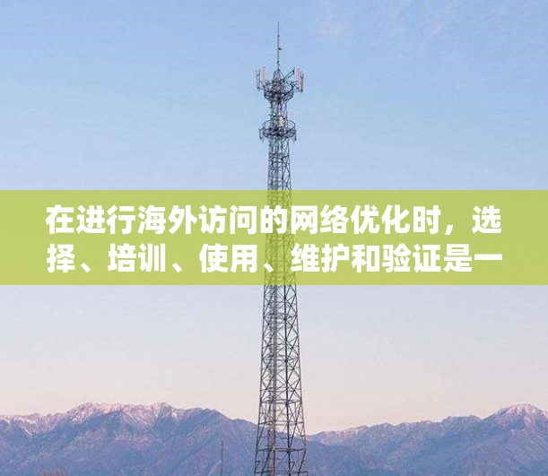 在进行海外访问的网络优化时，选择、培训、使用、维护和验证是一个系统化的流程。以下是一个详细且结构化的指南