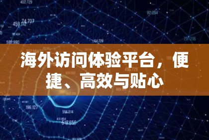 海外访问体验平台，便捷、高效与贴心
