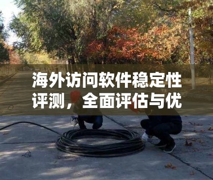海外访问软件稳定性评测，全面评估与优化策略