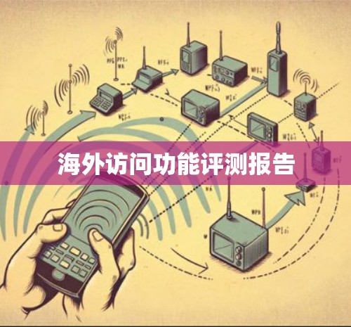 海外访问功能评测报告