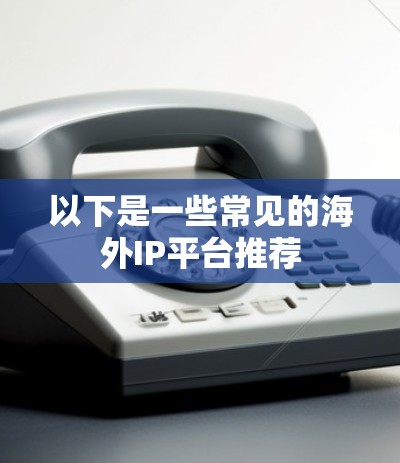 以下是一些常见的海外IP平台推荐