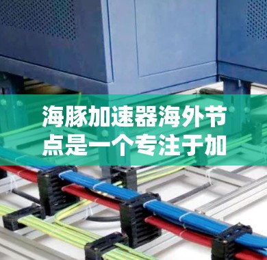 海豚加速器海外节点是一个专注于加速AI训练的云计算服务，旨在为开发者提供高效的数据处理和训练环境。以下是对该服务的详细介绍