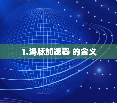 1.海豚加速器 的含义
