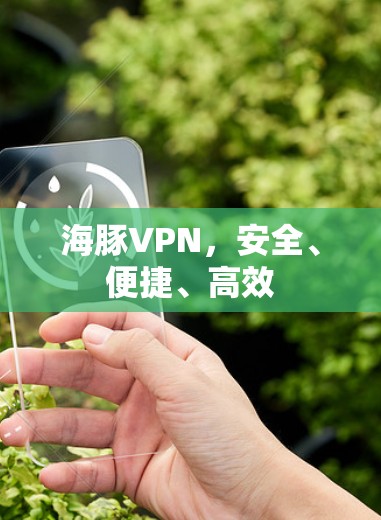 海豚VPN，安全、便捷、高效