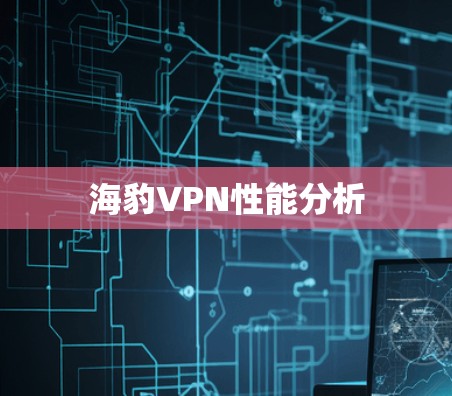 海豹VPN性能分析