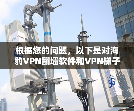 根据您的问题，以下是对海豹VPN翻墙软件和VPN梯子软件的详细分析和推荐