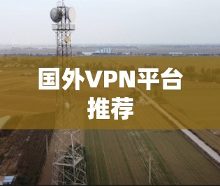 国外VPN平台推荐