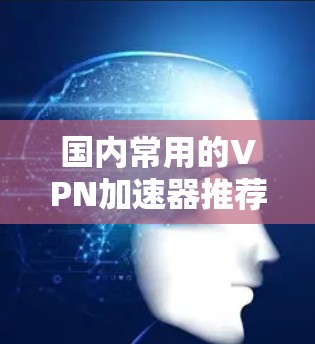 国内常用的VPN加速器推荐