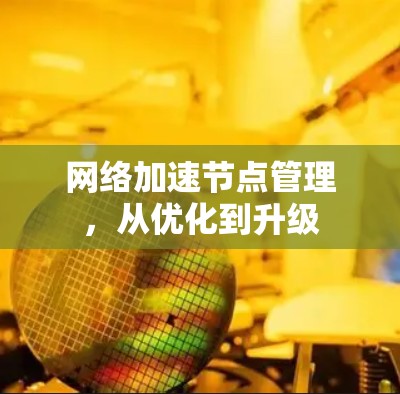 网络加速节点管理，从优化到升级