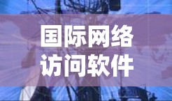 国际网络访问软件评测