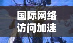 国际网络访问加速软件是一种帮助用户高效访问全球不同网络环境的工具，通常包括WAN加速和VPN功能。以下是关于这些软件的详细信息