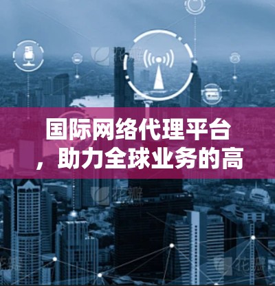 国际网络代理平台，助力全球业务的高效沟通平台