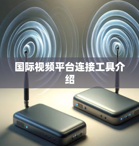 国际视频平台连接工具介绍